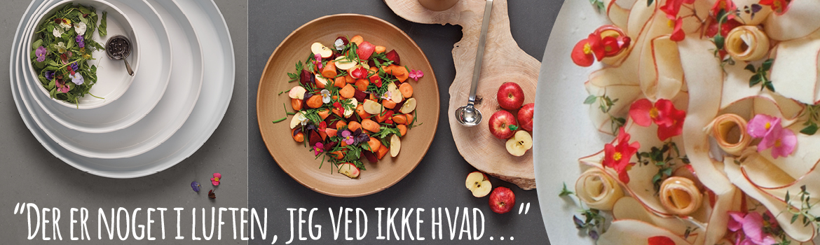 Forår, nyheder. KEN STORKØKKEN